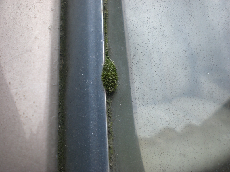 500 Amaretta creme (59)