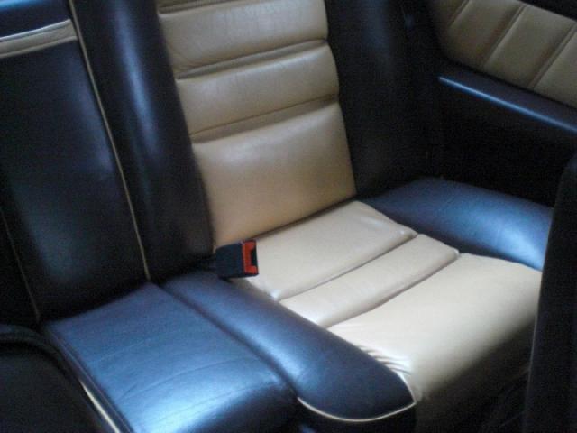 Gullwing Black (5)