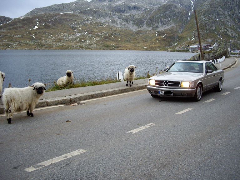 Urlaub Schweiz 2010, Grimselpass2