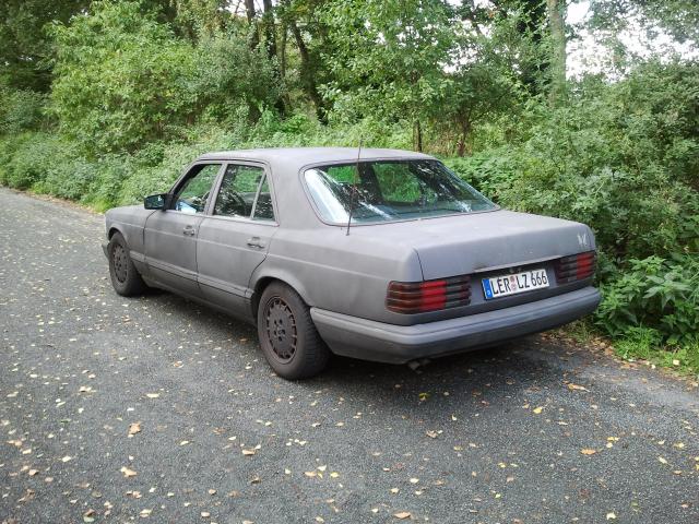 Im grünen