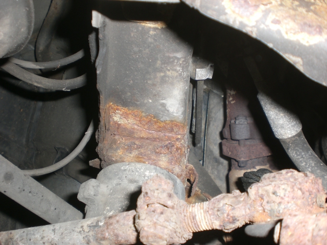 Rost (17)